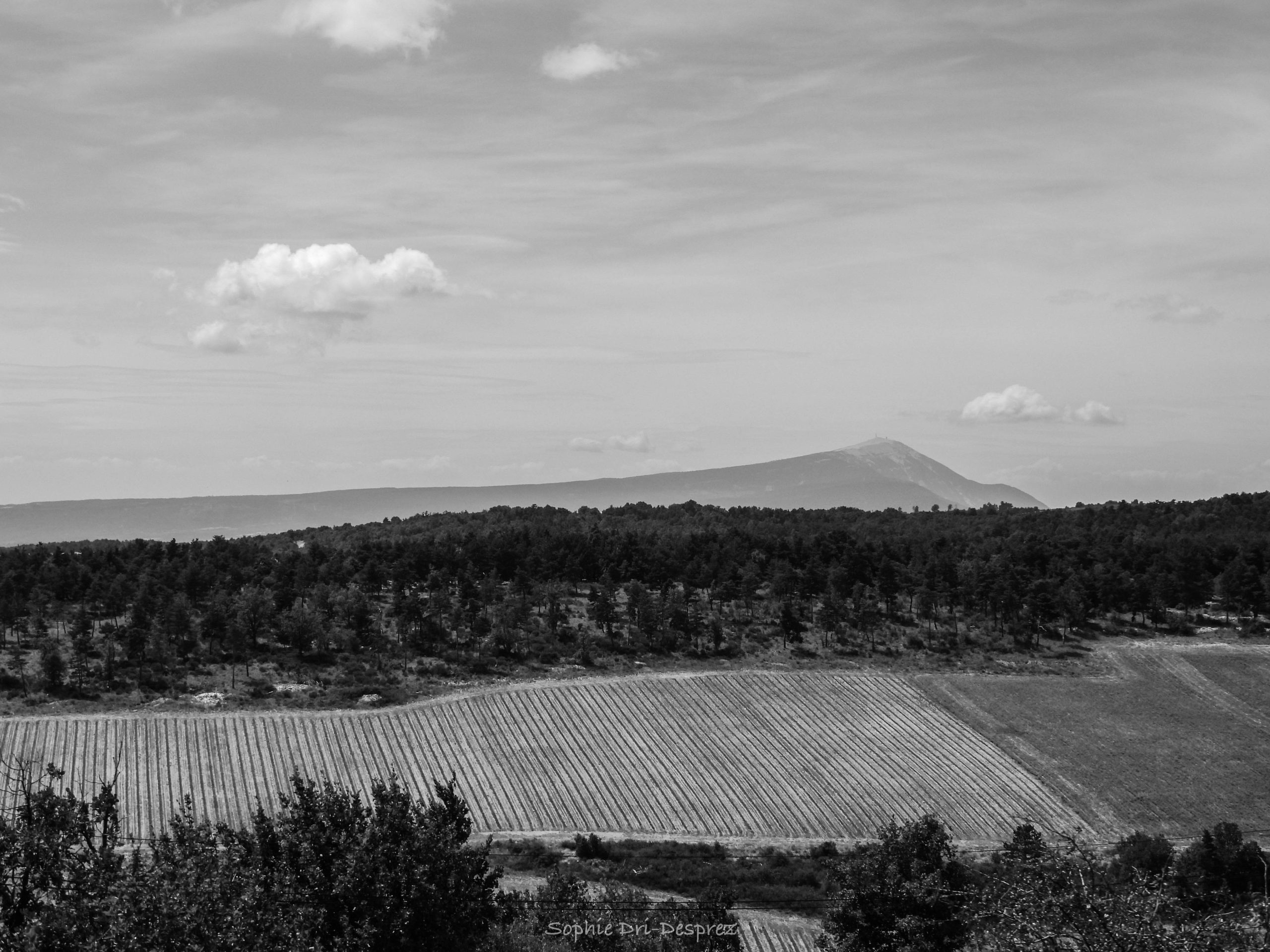 Le Contadour, Giono, le pacifisme.